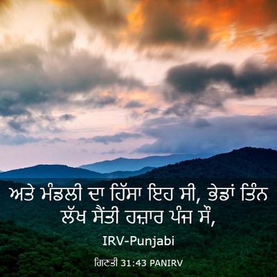 Picture 03 - ਗਿਣਤੀ 31:43 PANIRV - ਅਤੇ ਮੰਡਲੀ ਦਾ ਹਿੱਸਾ - Bible Verse Picture