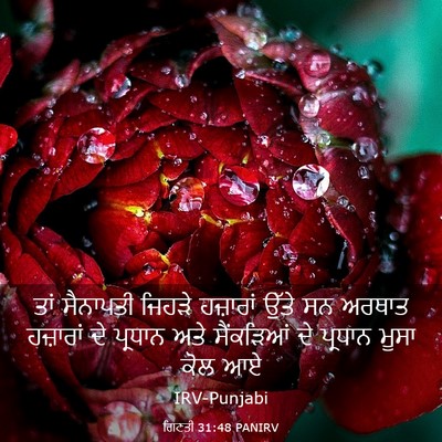 Picture 03 - ਗਿਣਤੀ 31:48 PANIRV - ਤਾਂ ਸੈਨਾਪਤੀ ਜਿਹੜੇ - Bible Verse Picture