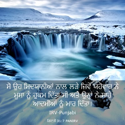 Picture 03 - ਗਿਣਤੀ 31:7 PANIRV - ਸੋ ਉਹ ਮਿਦਯਾਨੀਆਂ - Bible Verse Picture