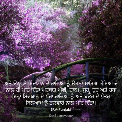 Picture 03 - ਗਿਣਤੀ 31:8 PANIRV - ਅਤੇ ਉਨ੍ਹਾਂ ਨੇ - Bible Verse Picture