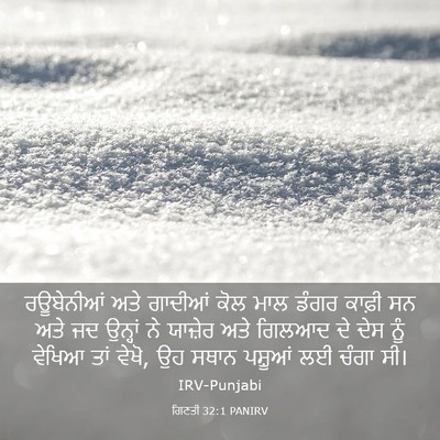 Picture 03 - ਗਿਣਤੀ 32:1 PANIRV - ਰਊਬੇਨੀਆਂ ਅਤੇ - Bible Verse Picture