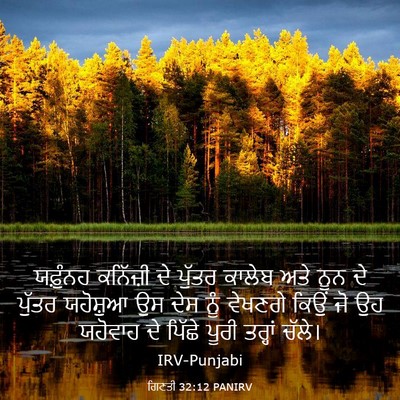 Picture 03 - ਗਿਣਤੀ 32:12 PANIRV - ਯਫ਼ੁੰਨਹ ਕਨਿੱਜ਼ੀ - Bible Verse Picture