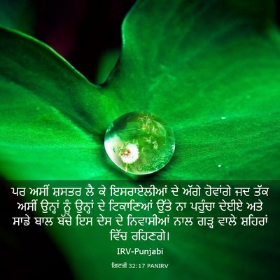 Picture 03 - ਗਿਣਤੀ 32:17 PANIRV - ਪਰ ਅਸੀਂ ਸ਼ਸਤਰ ਲੈ ਕੇ - Bible Verse Picture