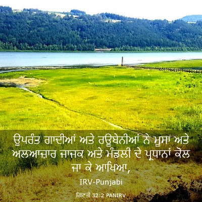 Picture 03 - ਗਿਣਤੀ 32:2 PANIRV - ਉਪਰੰਤ ਗਾਦੀਆਂ ਅਤੇ - Bible Verse Picture