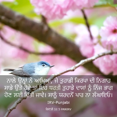 Picture 03 - ਗਿਣਤੀ 32:5 PANIRV - ਨਾਲੇ ਉਨ੍ਹਾਂ ਨੇ - Bible Verse Picture