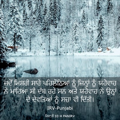 Picture 03 - ਗਿਣਤੀ 33:4 PANIRV - ਜਦੋਂ ਮਿਸਰੀ ਸਾਰੇ - Bible Verse Picture