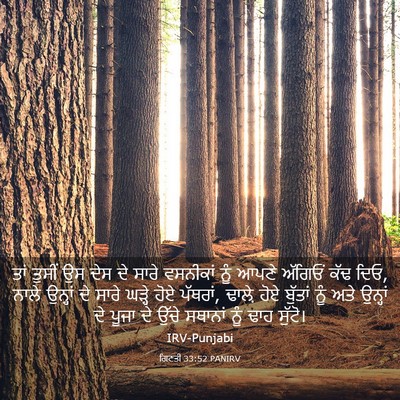 Picture 03 - ਗਿਣਤੀ 33:52 PANIRV - ਤਾਂ ਤੁਸੀਂ ਉਸ ਦੇਸ ਦੇ - Bible Verse Picture