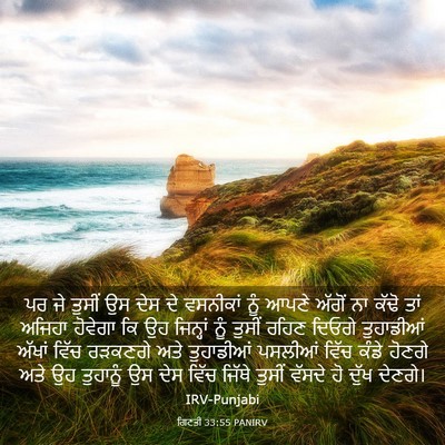 Picture 03 - ਗਿਣਤੀ 33:55 PANIRV - ਪਰ ਜੇ ਤੁਸੀਂ ਉਸ ਦੇਸ - Bible Verse Picture