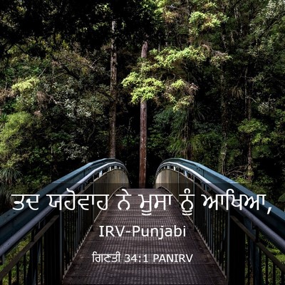 Picture 03 - ਗਿਣਤੀ 34:1 PANIRV - ਤਦ ਯਹੋਵਾਹ ਨੇ ਮੂਸਾ - Bible Verse Picture