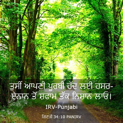 Picture 03 - ਗਿਣਤੀ 34:10 PANIRV - ਤੁਸੀਂ ਆਪਣੀ ਪੂਰਬੀ - Bible Verse Picture