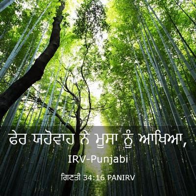 Picture 03 - ਗਿਣਤੀ 34:16 PANIRV - ਫੇਰ ਯਹੋਵਾਹ ਨੇ ਮੂਸਾ - Bible Verse Picture
