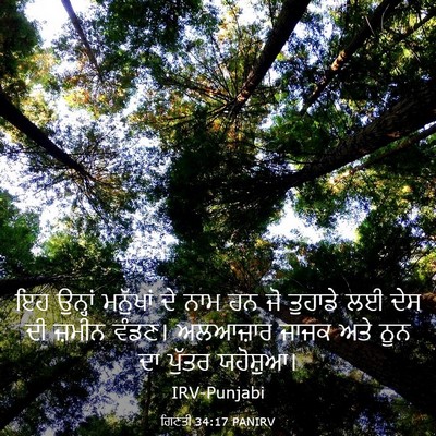 Picture 03 - ਗਿਣਤੀ 34:17 PANIRV - ਇਹ ਉਨ੍ਹਾਂ ਮਨੁੱਖਾਂ - Bible Verse Picture