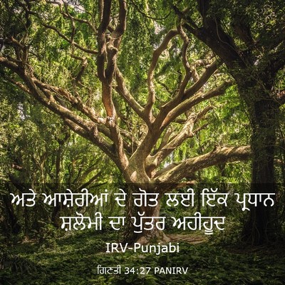 Picture 03 - ਗਿਣਤੀ 34:27 PANIRV - ਅਤੇ ਆਸ਼ੇਰੀਆਂ ਦੇ - Bible Verse Picture