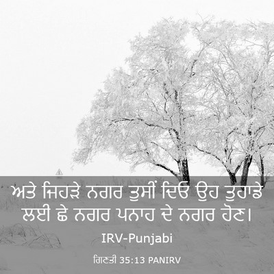 Picture 03 - ਗਿਣਤੀ 35:13 PANIRV - ਅਤੇ ਜਿਹੜੇ ਨਗਰ - Bible Verse Picture