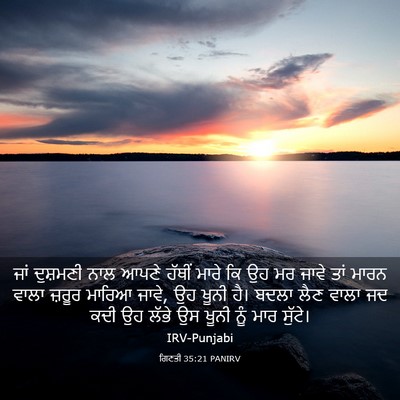 Picture 03 - ਗਿਣਤੀ 35:21 PANIRV - ਜਾਂ ਦੁਸ਼ਮਣੀ ਨਾਲ - Bible Verse Picture