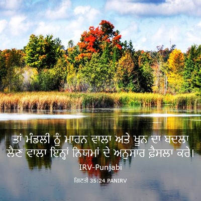 Picture 03 - ਗਿਣਤੀ 35:24 PANIRV - ਤਾਂ ਮੰਡਲੀ ਨੂੰ ਮਾਰਨ - Bible Verse Picture