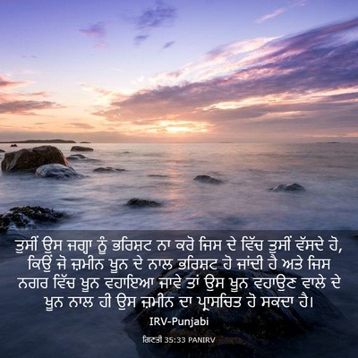 Picture 03 - ਗਿਣਤੀ 35:33 PANIRV - ਤੁਸੀਂ ਉਸ ਜਗ੍ਹਾ ਨੂੰ - Bible Verse Picture