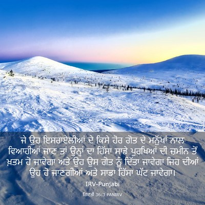 Picture 03 - ਗਿਣਤੀ 36:3 PANIRV - ਜੇ ਉਹ ਇਸਰਾਏਲੀਆਂ ਦੇ - Bible Verse Picture