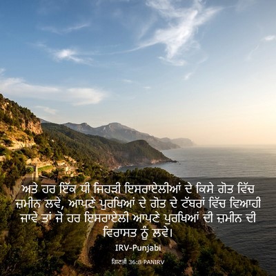 Picture 03 - ਗਿਣਤੀ 36:8 PANIRV - ਅਤੇ ਹਰ ਇੱਕ ਧੀ ਜਿਹੜੀ - Bible Verse Picture
