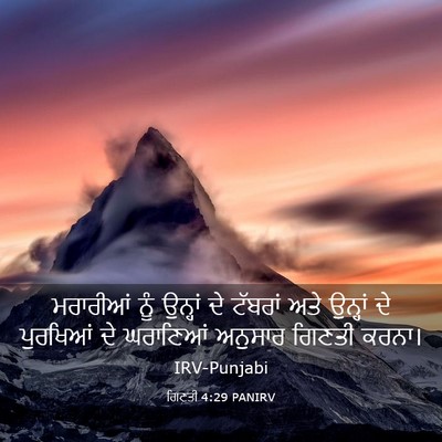 Picture 03 - ਗਿਣਤੀ 4:29 PANIRV - ਮਰਾਰੀਆਂ ਨੂੰ - Bible Verse Picture