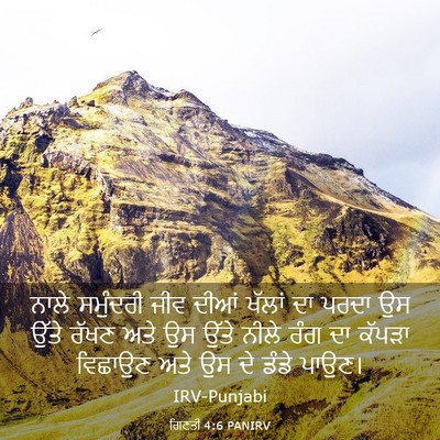 Picture 03 - ਗਿਣਤੀ 4:6 PANIRV - ਨਾਲੇ ਸਮੁੰਦਰੀ ਜੀਵ - Bible Verse Picture