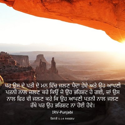 Picture 03 - ਗਿਣਤੀ 5:14 PANIRV - ਪਰ ਉਸ ਦੇ ਪਤੀ ਦੇ ਮਨ - Bible Verse Picture