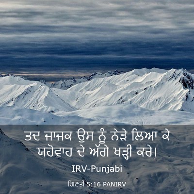 Picture 03 - ਗਿਣਤੀ 5:16 PANIRV - ਤਦ ਜਾਜਕ ਉਸ ਨੂੰ ਨੇੜੇ - Bible Verse Picture