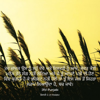 Picture 03 - ਗਿਣਤੀ 5:19 PANIRV - ਤਦ ਜਾਜਕ ਉਸ ਨੂੰ ਸਹੁੰ - Bible Verse Picture