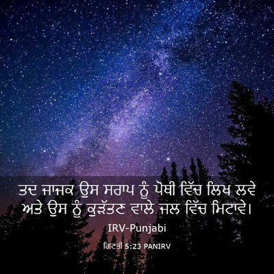 Picture 03 - ਗਿਣਤੀ 5:23 PANIRV - ਤਦ ਜਾਜਕ ਉਸ ਸਰਾਪ ਨੂੰ - Bible Verse Picture