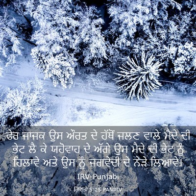Picture 03 - ਗਿਣਤੀ 5:25 PANIRV - ਫੇਰ ਜਾਜਕ ਉਸ ਔਰਤ ਦੇ - Bible Verse Picture