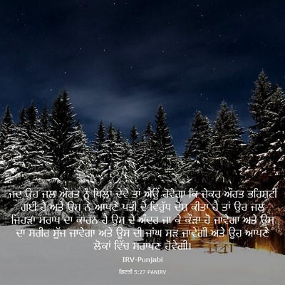 Picture 03 - ਗਿਣਤੀ 5:27 PANIRV - ਜਦ ਉਹ ਜਲ ਔਰਤ ਨੂੰ - Bible Verse Picture
