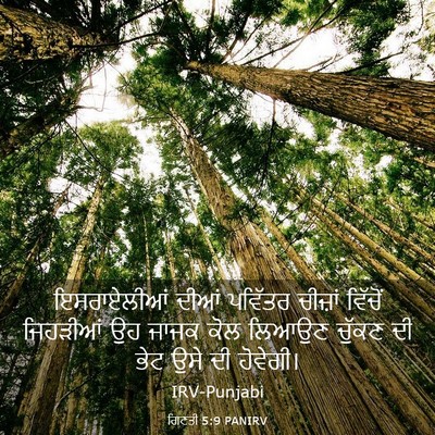Picture 03 - ਗਿਣਤੀ 5:9 PANIRV - ਇਸਰਾਏਲੀਆਂ ਦੀਆਂ - Bible Verse Picture