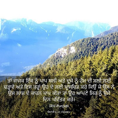 Picture 03 - ਗਿਣਤੀ 6:11 PANIRV - ਤਾਂ ਜਾਜਕ ਇੱਕ ਨੂੰ - Bible Verse Picture
