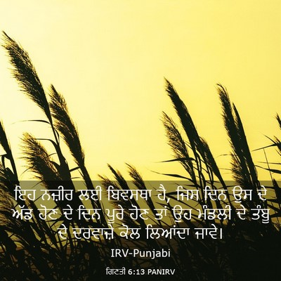 Picture 03 - ਗਿਣਤੀ 6:13 PANIRV - ਇਹ ਨਜ਼ੀਰ ਲਈ ਬਿਵਸਥਾ - Bible Verse Picture