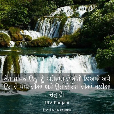 Picture 03 - ਗਿਣਤੀ 6:16 PANIRV - ਫੇਰ ਜਾਜਕ ਉਨ੍ਹਾਂ - Bible Verse Picture