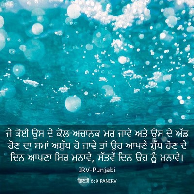 Picture 03 - ਗਿਣਤੀ 6:9 PANIRV - ਜੇ ਕੋਈ ਉਸ ਦੇ ਕੋਲ - Bible Verse Picture