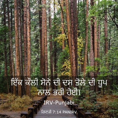 Picture 03 - ਗਿਣਤੀ 7:14 PANIRV - ਇੱਕ ਕੌਲੀ ਸੋਨੇ ਦੀ ਦਸ - Bible Verse Picture