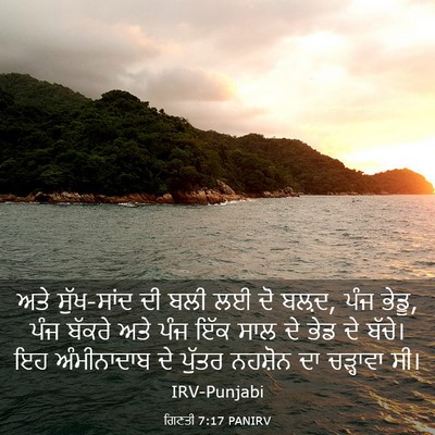 Picture 03 - ਗਿਣਤੀ 7:17 PANIRV - ਅਤੇ ਸੁੱਖ-ਸਾਂਦ ਦੀ - Bible Verse Picture