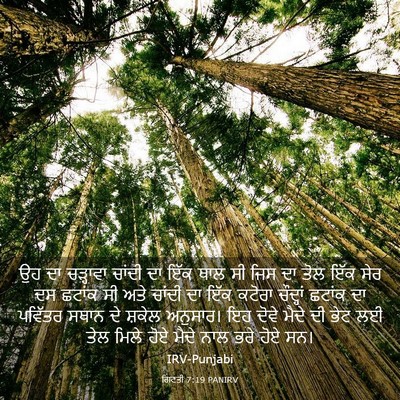 Picture 03 - ਗਿਣਤੀ 7:19 PANIRV - ਉਹ ਦਾ ਚੜ੍ਹਾਵਾ - Bible Verse Picture