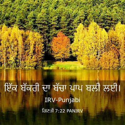 Picture 03 - ਗਿਣਤੀ 7:22 PANIRV - ਇੱਕ ਬੱਕਰੀ ਦਾ ਬੱਚਾ - Bible Verse Picture