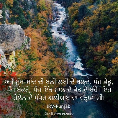 Picture 03 - ਗਿਣਤੀ 7:29 PANIRV - ਅਤੇ ਸੁੱਖ-ਸਾਂਦ ਦੀ - Bible Verse Picture