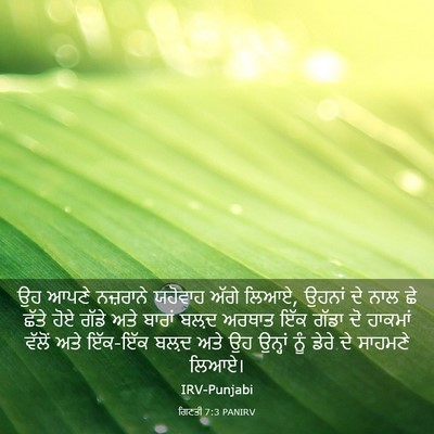 Picture 03 - ਗਿਣਤੀ 7:3 PANIRV - ਉਹ ਆਪਣੇ ਨਜ਼ਰਾਨੇ - Bible Verse Picture