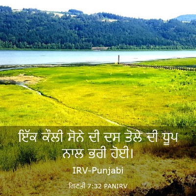 Picture 03 - ਗਿਣਤੀ 7:32 PANIRV - ਇੱਕ ਕੌਲੀ ਸੋਨੇ ਦੀ ਦਸ - Bible Verse Picture