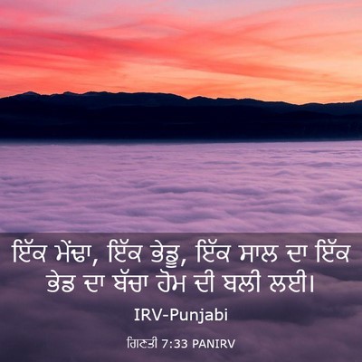 Picture 03 - ਗਿਣਤੀ 7:33 PANIRV - ਇੱਕ ਮੇਂਢਾ, ਇੱਕ - Bible Verse Picture