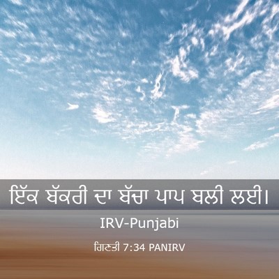 Picture 03 - ਗਿਣਤੀ 7:34 PANIRV - ਇੱਕ ਬੱਕਰੀ ਦਾ ਬੱਚਾ - Bible Verse Picture