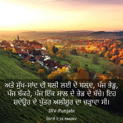 Picture 03 - ਗਿਣਤੀ 7:35 PANIRV - ਅਤੇ ਸੁੱਖ-ਸਾਂਦ ਦੀ - Bible Verse Picture