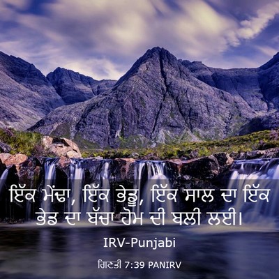 Picture 03 - ਗਿਣਤੀ 7:39 PANIRV - ਇੱਕ ਮੇਂਢਾ, ਇੱਕ - Bible Verse Picture