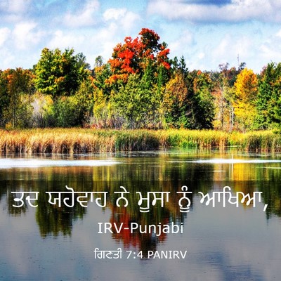 Picture 03 - ਗਿਣਤੀ 7:4 PANIRV - ਤਦ ਯਹੋਵਾਹ ਨੇ ਮੂਸਾ - Bible Verse Picture