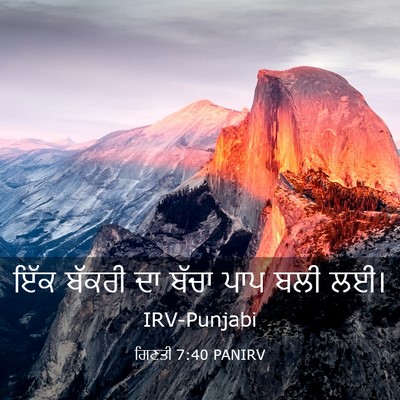 Picture 03 - ਗਿਣਤੀ 7:40 PANIRV - ਇੱਕ ਬੱਕਰੀ ਦਾ ਬੱਚਾ - Bible Verse Picture