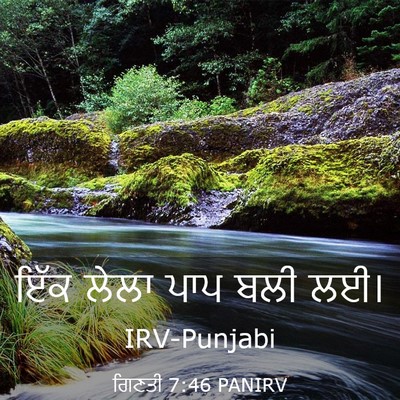 Picture 03 - ਗਿਣਤੀ 7:46 PANIRV - ਇੱਕ ਲੇਲਾ ਪਾਪ ਬਲੀ - Bible Verse Picture